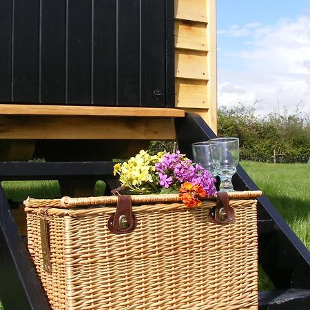 Marshwood Farm B&B And Shepherds Hut Dinton  Zewnętrze zdjęcie