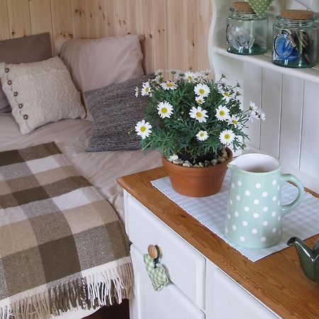 Marshwood Farm B&B And Shepherds Hut Dinton  Zewnętrze zdjęcie