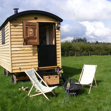 Marshwood Farm B&B And Shepherds Hut Dinton  Zewnętrze zdjęcie
