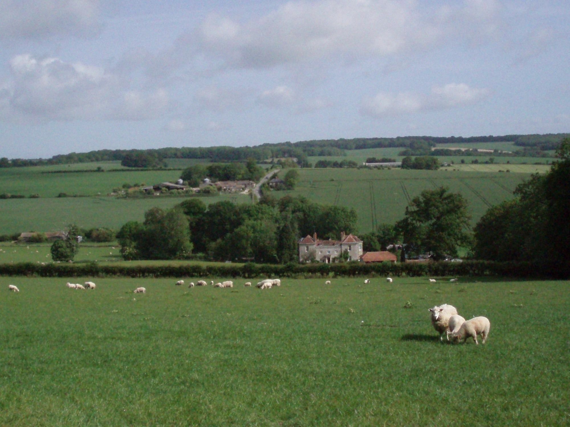 Marshwood Farm B&B And Shepherds Hut Dinton  Zewnętrze zdjęcie